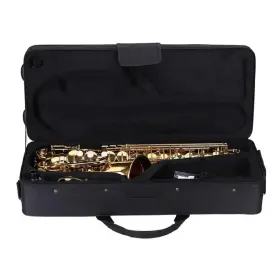752917315691 ABODY Lacquered Flat Sax Eb Alto Saxophone #2 752917315691 ABODY Lacquered Flat Sax Eb Alto Saxophone #2