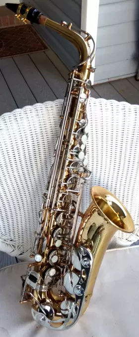 KJA040214 ANTIGUA VOSI Winds Keys Alto Sax #2 KJA040214 ANTIGUA VOSI Winds Keys Alto Sax #2