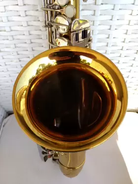 22849 BENETONE/ALFREDO SANTONI Vint Mogar Alto Sax Great #3