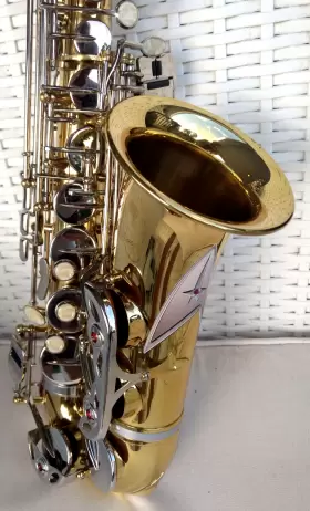 20119104 BORG Keys Alto Sax #2