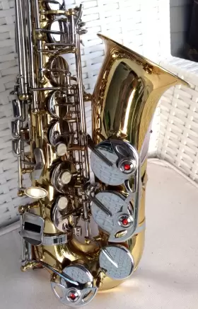 20119104 BORG Keys Alto Sax #3