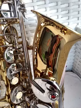20119104 BORG Keys Alto Sax
