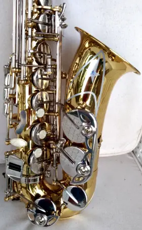 20249104 BORG Alto Sax Rico Mpc Assimilated Conditon #2