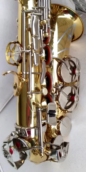 20249104 BORG Alto Sax Rico Mpc Assimilated Conditon #3