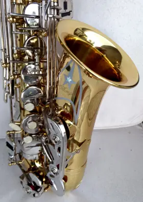 20249104 BORG Alto Sax Rico Mpc Assimilated Conditon