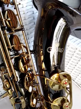 H11100118 CECILIO Keys Tenor Sax Fobes Debut Mpc