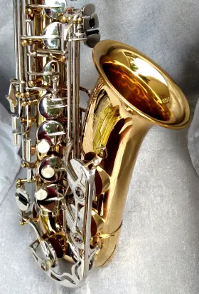 H4746 CECILIO Classic Alto Sax Rig Vito Mpc