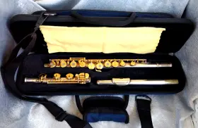 XS8172 DELPHI Dlf Hole Flute Protec