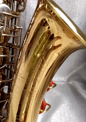 21086 E.K. BLESSING Artist Alto Sax Protec Bag Ag Mpc