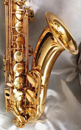 Eastar Hd0321 Gold Tenor Sax With Case Accessories And New Rico B5 Mpc.- Mint Condition Eastar Hd0321 Gold Tenor Sax With Case Accessories And New Rico B5 Mpc.- Mint Condition