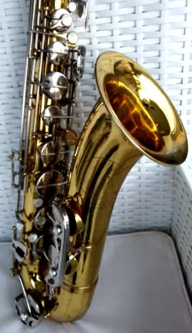 31162 EVETTE-SCHAEFFER Tenor Sax Neck Levi Bag Rico Mpc #2