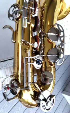 31162 EVETTE-SCHAEFFER Tenor Sax Neck Levi Bag Rico Mpc #3
