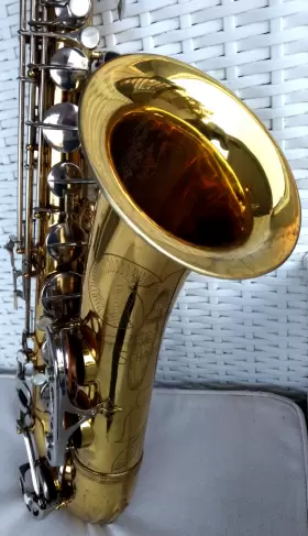 31162 EVETTE-SCHAEFFER Tenor Sax Neck Levi Bag Rico Mpc