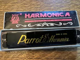 105-40 HOHNER Prewar Auto Valve Harp Harmonica Key Parrot #2