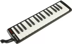 313110953969 USA Instructor Melodica #3