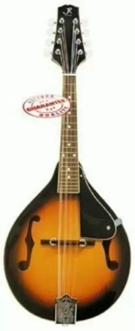 JRMAN10 J. REYNOLDS Mandolin Sunburst