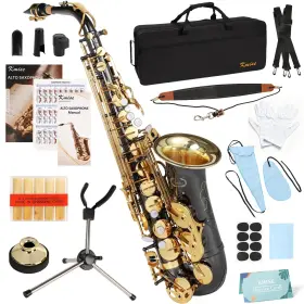Saxophone KMISE Flat Alto Students