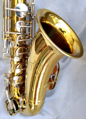 86752-SX53 MARTIN RMC Alto Sax Pro Bag Beauty 86752-SX53 MARTIN RMC Alto Sax Pro Bag Beauty
