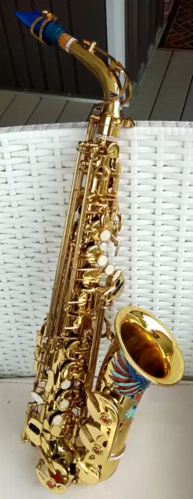 19101300 MENDINI Patriotic Cecilio Alto Sax Bag Ag Mpc Go #2