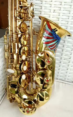19101300 MENDINI Patriotic Cecilio Alto Sax Bag Ag Mpc Go #3