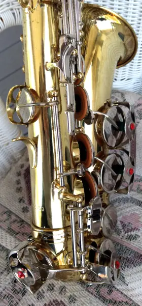 1285669 SELMER Keys Alto Sax Protec Bag #3