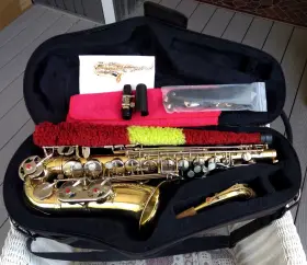 1285669 SELMER Keys Alto Sax Protec Bag