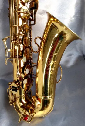 645156 SELMER Signet Alto Sax Pro Bag