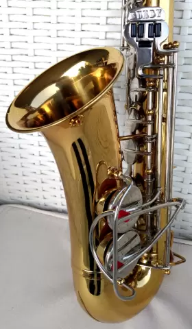 673604 SELMER Bundy Alto Sax Rig Geo Mpc #2