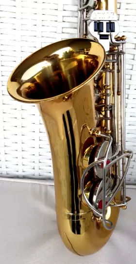 673604 SELMER Bundy Alto Sax Rig Geo Mpc