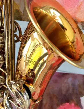 Selmer Ak13008070 As500 Alto Sax With Nice Case And Hite Inch Premier Mpc.- Very Good Shape