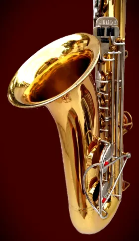 697849 SELMER BUNDY Tenor Sax Neck Rico Mpc
