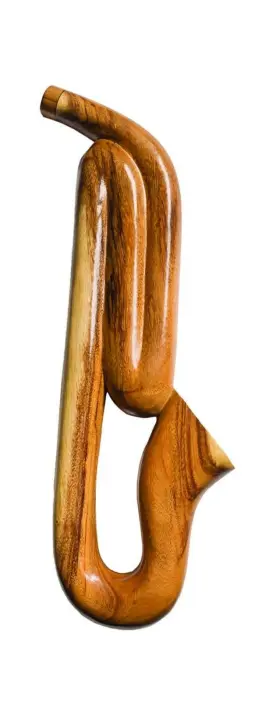 Terre 784126380993 Travel Didgeridoo Wood Saxophone Tone C