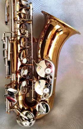 402509 VITO Leblanc Alto Sax Beauty 402509 VITO Leblanc Alto Sax Beauty