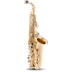 Etude Eas-200 Student Series Alto Saxophone Lacquer. Fixed Price $499.99.