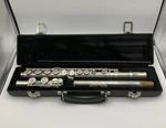 2010 Gemeinhardt Elkhart 2sp Flute With Hard Case Serial Number P38417. Fixed Price $99.99.