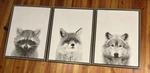 Lot Of 3 Framed Canvas Wall Art Gray Wolf Fox Raccoon 18x24 Uniek Simon Te. Fixed Price $76.00.