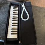 Hohner Instructor 32 Melodica Keyboard Wind Instrument With Case. Fixed Price $39.98.