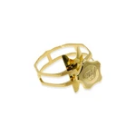 Theo Wanne Enlightened Saxophone Ligature With Premium Gold Finish For Sopran.... Fixed Price $130.07.