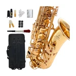 Hogsn E Flat Alto Saxophone Beginners Professional Belt Box, Whistl.... Fixed Price $273.66.