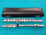 Getzen Deluxe Flute With Case For Parts Or Repair. Fixed Price $27.00.