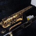 Maxtone Alto Saxophone Wind Instrument Gold Finish Engraved With Hard Case. Fixed Price $189.18.